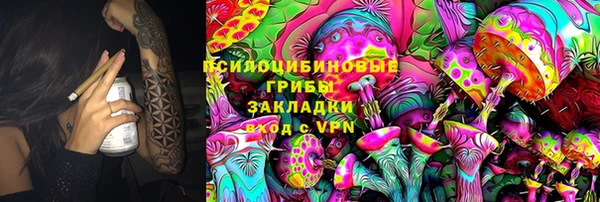 герыч Алексин