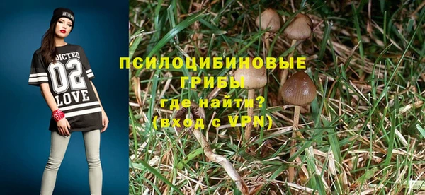сатива Алзамай