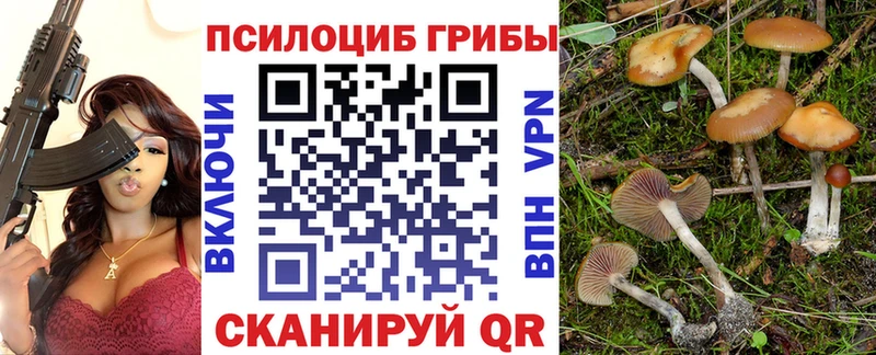 купить наркоту Пыталово кракен tor нарко площадка состав Галлюциногенные грибы MAGIC MUSHROOMS